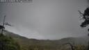 ./images/calvert/fitz-hugh-hecate/20250516/fitz-hugh-hecate20250516_135009M.jpg