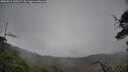 ./images/calvert/fitz-hugh-hecate/20250516/fitz-hugh-hecate20250516_135507M.jpg