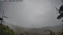 ./images/calvert/fitz-hugh-hecate/20250516/fitz-hugh-hecate20250516_140508M.jpg