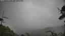 ./images/calvert/fitz-hugh-hecate/20250516/fitz-hugh-hecate20250516_141008M.jpg