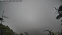 ./images/calvert/fitz-hugh-hecate/20250516/fitz-hugh-hecate20250516_141509M.jpg