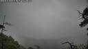 ./images/calvert/fitz-hugh-hecate/20250516/fitz-hugh-hecate20250516_142509M.jpg