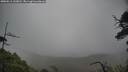 ./images/calvert/fitz-hugh-hecate/20250516/fitz-hugh-hecate20250516_143010M.jpg