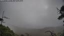 ./images/calvert/fitz-hugh-hecate/20250516/fitz-hugh-hecate20250516_143510M.jpg