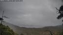 ./images/calvert/fitz-hugh-hecate/20250516/fitz-hugh-hecate20250516_144008M.jpg