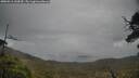 ./images/calvert/fitz-hugh-hecate/20250516/fitz-hugh-hecate20250516_144510M.jpg