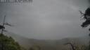 ./images/calvert/fitz-hugh-hecate/20250516/fitz-hugh-hecate20250516_150010M.jpg