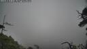 ./images/calvert/fitz-hugh-hecate/20250516/fitz-hugh-hecate20250516_154010M.jpg