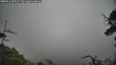 ./images/calvert/fitz-hugh-hecate/20250516/fitz-hugh-hecate20250516_155507M.jpg