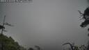 ./images/calvert/fitz-hugh-hecate/20250516/fitz-hugh-hecate20250516_161510M.jpg