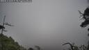 ./images/calvert/fitz-hugh-hecate/20250516/fitz-hugh-hecate20250516_162508M.jpg