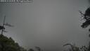 ./images/calvert/fitz-hugh-hecate/20250516/fitz-hugh-hecate20250516_163509M.jpg