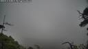 ./images/calvert/fitz-hugh-hecate/20250516/fitz-hugh-hecate20250516_164009M.jpg