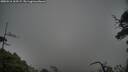 ./images/calvert/fitz-hugh-hecate/20250516/fitz-hugh-hecate20250516_165509M.jpg