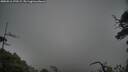 ./images/calvert/fitz-hugh-hecate/20250516/fitz-hugh-hecate20250516_170509M.jpg