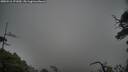 ./images/calvert/fitz-hugh-hecate/20250516/fitz-hugh-hecate20250516_171010M.jpg