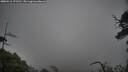 ./images/calvert/fitz-hugh-hecate/20250516/fitz-hugh-hecate20250516_171510M.jpg