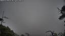 ./images/calvert/fitz-hugh-hecate/20250516/fitz-hugh-hecate20250516_172508M.jpg