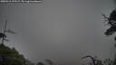 ./images/calvert/fitz-hugh-hecate/20250516/fitz-hugh-hecate20250516_173509M.jpg