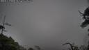 ./images/calvert/fitz-hugh-hecate/20250516/fitz-hugh-hecate20250516_175010M.jpg
