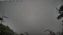 ./images/calvert/fitz-hugh-hecate/20250516/fitz-hugh-hecate20250516_175509M.jpg