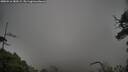 ./images/calvert/fitz-hugh-hecate/20250516/fitz-hugh-hecate20250516_180509M.jpg