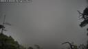 ./images/calvert/fitz-hugh-hecate/20250516/fitz-hugh-hecate20250516_181010M.jpg