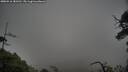 ./images/calvert/fitz-hugh-hecate/20250516/fitz-hugh-hecate20250516_181510M.jpg