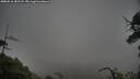 ./images/calvert/fitz-hugh-hecate/20250516/fitz-hugh-hecate20250516_182508M.jpg