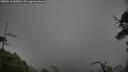 ./images/calvert/fitz-hugh-hecate/20250516/fitz-hugh-hecate20250516_183010M.jpg