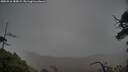 ./images/calvert/fitz-hugh-hecate/20250516/fitz-hugh-hecate20250516_184509M.jpg