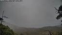./images/calvert/fitz-hugh-hecate/20250516/fitz-hugh-hecate20250516_190009M.jpg