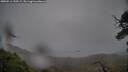 ./images/calvert/fitz-hugh-hecate/20250516/fitz-hugh-hecate20250516_190508M.jpg
