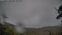 ./images/calvert/fitz-hugh-hecate/20250516/fitz-hugh-hecate20250516_191009M.jpg