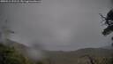 ./images/calvert/fitz-hugh-hecate/20250516/fitz-hugh-hecate20250516_191508M.jpg