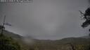 ./images/calvert/fitz-hugh-hecate/20250516/fitz-hugh-hecate20250516_192009M.jpg