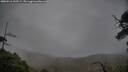 ./images/calvert/fitz-hugh-hecate/20250516/fitz-hugh-hecate20250516_192508M.jpg
