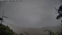 ./images/calvert/fitz-hugh-hecate/20250516/fitz-hugh-hecate20250516_193008M.jpg