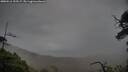 ./images/calvert/fitz-hugh-hecate/20250516/fitz-hugh-hecate20250516_193506M.jpg