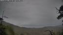 ./images/calvert/fitz-hugh-hecate/20250516/fitz-hugh-hecate20250516_194009M.jpg