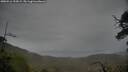 ./images/calvert/fitz-hugh-hecate/20250516/fitz-hugh-hecate20250516_194508M.jpg