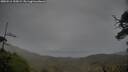 ./images/calvert/fitz-hugh-hecate/20250516/fitz-hugh-hecate20250516_195008M.jpg
