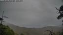 ./images/calvert/fitz-hugh-hecate/20250516/fitz-hugh-hecate20250516_195508M.jpg