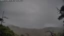 ./images/calvert/fitz-hugh-hecate/20250516/fitz-hugh-hecate20250516_200009M.jpg