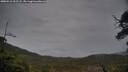./images/calvert/fitz-hugh-hecate/20250516/fitz-hugh-hecate20250516_202508M.jpg