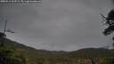 ./images/calvert/fitz-hugh-hecate/20250516/fitz-hugh-hecate20250516_203009M.jpg