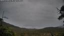 ./images/calvert/fitz-hugh-hecate/20250516/fitz-hugh-hecate20250516_203506M.jpg