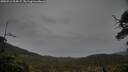 ./images/calvert/fitz-hugh-hecate/20250516/fitz-hugh-hecate20250516_204506M.jpg
