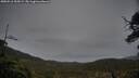 ./images/calvert/fitz-hugh-hecate/20250516/fitz-hugh-hecate20250516_205008M.jpg