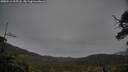 ./images/calvert/fitz-hugh-hecate/20250516/fitz-hugh-hecate20250516_205507M.jpg